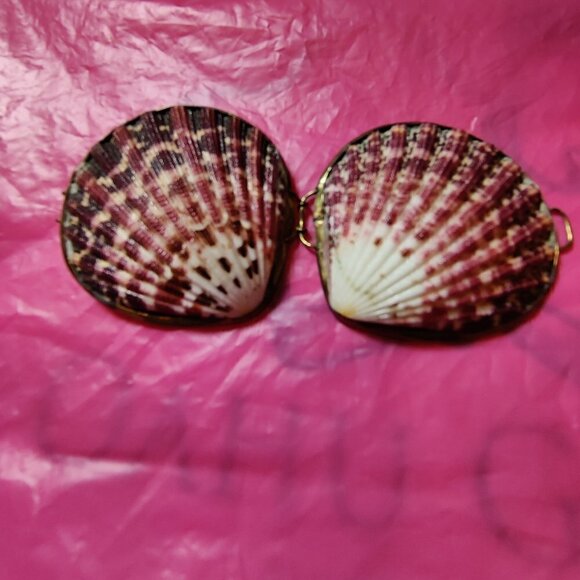 Seashell Trinket Box with Brass Trim. Used as a Pillbox, Perfume Sachet or coins - Picture 2 of 6